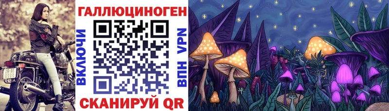закладка  KRAKEN ONION  Галлюциногенные грибы мицелий  Томмот 